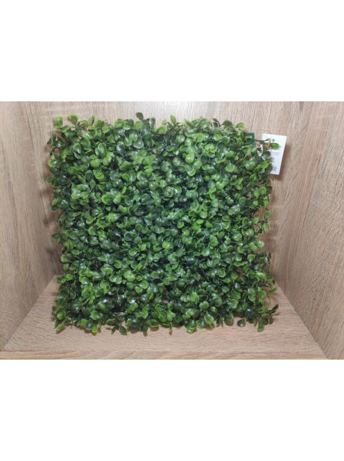 Buxus alap/tábla/szőnyeg zöld 25*25cm 