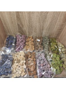   Casuarina szárított termés festett színekben 30-35gr-os kiszerelés