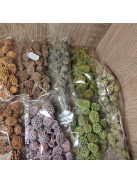 Casuarina szárított termés festett színekben 30-35gr-os kiszerelés