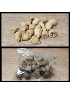   Eukaliptusz gomb termés apró két színben 25-40gr -os kiszerelésben