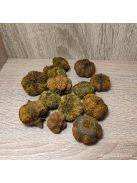 Fokhagyma termés több színben 