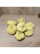 Fokhagyma termés több színben 