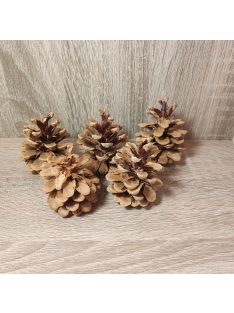 Fehérített rózsa toboz 5db