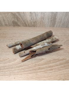   Casio szárított termés farudacskák kb.10cm natúr színben 35-40gr