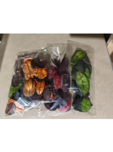 Asa Barata /őznyelv mini 10gr több színben 